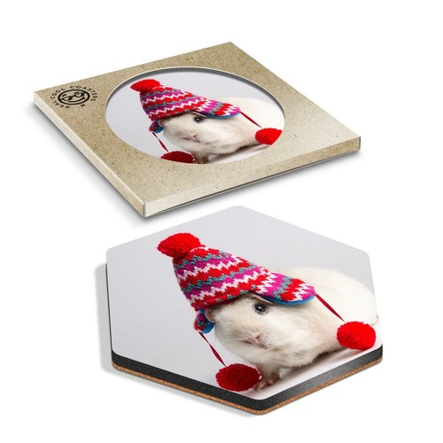 Hexagon coaster white - hexagon,